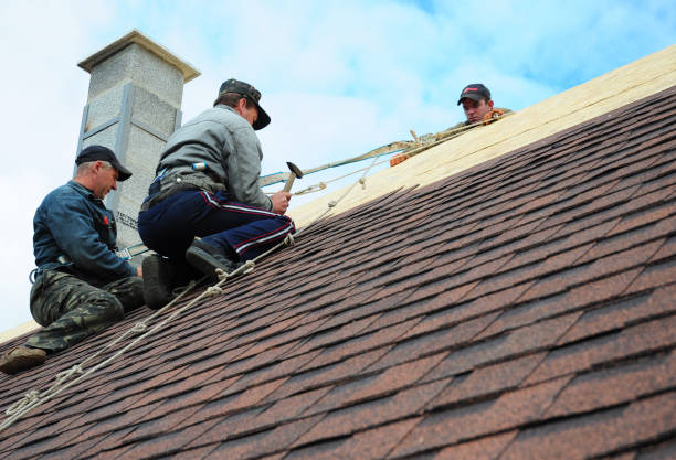 Best Shingle Roofing Installation  in Grant, MI