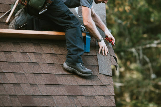 Best Roof Leak Repair  in Grant, MI