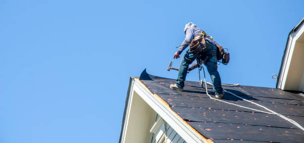 Best Slate Roofing Contractor  in Grant, MI